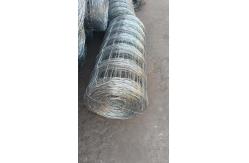 China Chain Link Barrier Powder Coated Coating Perfect Combination Of Strength And Aesthetics supplier