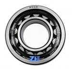 Professional production  CHROME STEEL Cylinder Roller Bearing   NJ206ET2X 206ET2X NJ206X 30*62*16mm for sale