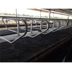 Dairy Farm Livestock Divided Panels Q235 Cow Free Stall for sale
