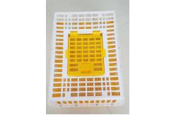 China PE 28.5cm Height 14 Chicken 50kgs Plastic Poultry Crate supplier