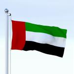 The United Arab Emirates Flag 90x150cm knitted polyester national flag outdoor canvas header with grommets for sale