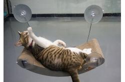 China Space Saving Window Mounted Cat Bed For Large Cats &Kittens supplier