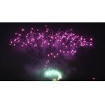 Liuyang Mandarin Cake Pyrotechnics 208 Shots Professional Display Fireworks 1.3g for sale