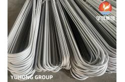 China SA213 /SA213 TP304L/TP316L SEAMLESS U BEND TUBE,  MIN. /AVG .WALL THICKNESS supplier
