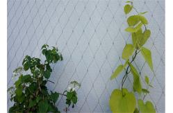 China 304 / 316 Stainless Steel Cable Trellis , Stainless Steel Green Wall Mesh supplier