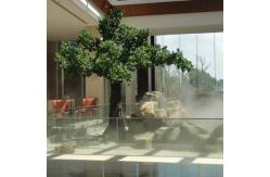 China 350cm Height Artificial Lucky Tree Potted Landscaping Plants supplier