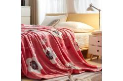 China Multi Purpose Polyester Flannel Blanket Suitable Portable For All Ages supplier