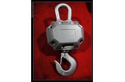 China Performance 2000 Lb Hanging Scale Hoist Crane Hook Weighing Scale Heavy Duty supplier