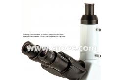 China Infinity Trinocular  BF / DF DIC Metallurgical Optical Microscope Halogen Light A13.1013 supplier