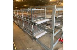 China Automatic Broiler Cage With Poultry Drinking System supplier