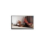 N160JME-GQA 1920*1200 16.0 inch 12S6P WLED LCD Screen for sale