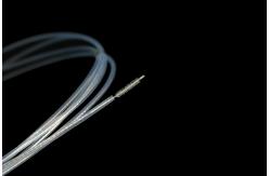 China Clinical Disposable Cytology Brush With Smooth Sphere Brush Head supplier