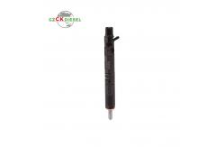 China New Fuel Common Rail Injector EJBR02101Z 166003978R for Delphi Engine supplier