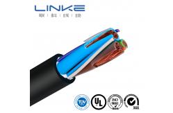 China Customization UL Certified Evje Evjt Series Portable Electric Vehicle Charging Cable supplier