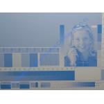 0.40mm Positive CTP Thermal Plate For Large Format Advertising Press for sale