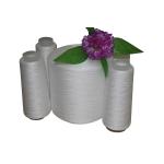 Raw White Paper Cone 100% Polyester Spun Yarn 20/2 40/2 With Platic Tube for sale