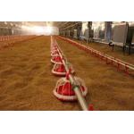 Customized Poultry Chick Line Feeder Broiler House Flooring Tube Chain Conveyor