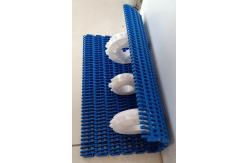 China                  Plastic Conveyor Belts with 27.2mm Pitch for Conveyor System              supplier