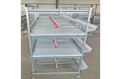 China 360degree Poultry Drinking System , SONCAP 2-3 Poultry Nipple Drinker System supplier