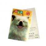 New Style 3D Lenticular Printing Lenticular sheet Lenticular Greeting Card