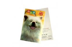 China New Style 3D Lenticular Printing Lenticular sheet Lenticular Greeting Card supplier