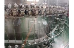 China Ultrasonic Washing Ampoule Inspection Machine with PLC and Peristaltic Pump/Plunger Pump supplier