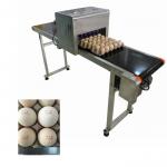Egg Jet Coding Machine / Industrial Inkjet Coding Printer For Expiration Date for sale