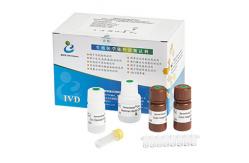 China Easy Handle Male Fertility Test Kit High Accuracy BRED-004 CE Approved supplier