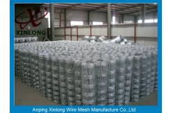 China Animals Galvanized Field Fence For Park / Zoo / Train / Bus Station supplier