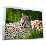 12.1 inch 82ppi lcd screen LQ121S1LG86 LCD Monitors Touch Screen Display Replacement for sale