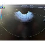 GE Voluson E8 Ultrasound Probe IC5-9-D Endovaginal Transducer Repair for sale
