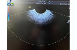 China GE Voluson E8 Ultrasound Probe IC5-9-D Endovaginal Transducer Repair supplier