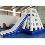 Safety Inflatable Water Games Inflatable Jungle Rock Silk Screen Printing for sale
