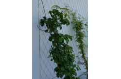 China Smooth Surface Stainless Steel 316 Wire Rope Mesh For Plant climbing supplier
