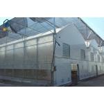 Modern Multispan Greenhouse Flower Growing With Automatic Control System for sale