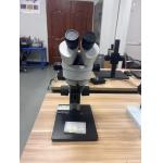 Binocular microscope