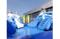 China Amusement Park Inflatable Water Slide Pool Customized Size supplier