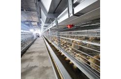 China 60-144 Broiler Poultry Equipment , ISO9001 Wire Bird Breeding Cages supplier