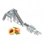 Ce Standard Peach Apricot Fruit Processing Equipment for sale