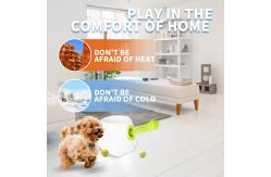 China Best Electronic Interactives Automatic Dog Ball Launcher Toys supplier