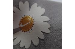 China Nylon Custom Elastic Belt Silicone Printed Embossed Logo For Underwear supplier