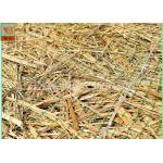 Green Square Polypropylene Mesh Screen For Erosion Control Blanket for sale