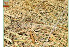 China Green Square Polypropylene Mesh Screen For Erosion Control Blanket supplier