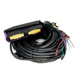 Multipoint CNG LPG Automotive Wiring Harness 56 Pin For 6 Cylinder ECU for sale