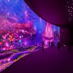 Northern Lights 3d Wall Interactive Games Holographic Immersive Projection for sale