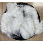 Virgin Polyester Staple Fiber 15D 64mm White Standard GRS Certificated for sale