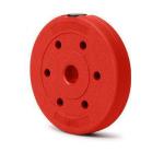 China ABS Barbell Weight Lifting Cement Weight Plate Colorful manufacturer