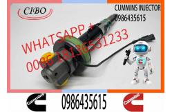 China QSK38 QSK50 QSK60 Fuel Injector F00BJ00006 2881088 0986435615 Diesel Injector supplier