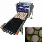 Easy Operation Automatic Egg Printing Machine For The Whole Tray Duck Eggs