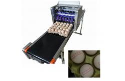 China Easy Operation Automatic Egg Printing Machine For The Whole Tray Duck Eggs supplier